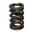 Load image into Gallery viewer, Manley Valve Spring, SPRING-1.610 DOUBLE - Installation View