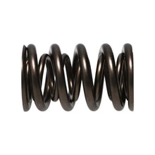 Load image into Gallery viewer, Manley Valve Spring, SPRING-1.610 DOUBLE - Additional View 5
