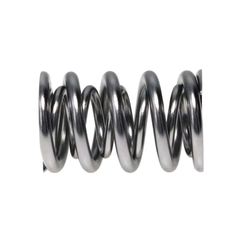 Manley Valve Spring, SPRING-1.620 DOUBLE - Back View