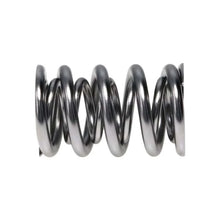 Load image into Gallery viewer, Manley Valve Spring, SPRING-1.620 DOUBLE - Back View