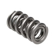 Load image into Gallery viewer, Manley Valve Spring, SPRING-1.620 DOUBLE - Main Product View