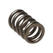 Load image into Gallery viewer, Manley Valve Spring, SPRING-NISSAN PATROL TB48 - Main Product View