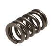 Load image into Gallery viewer, Manley Valve Spring, SPRING-NISSAN PATROL TB48 - Side View