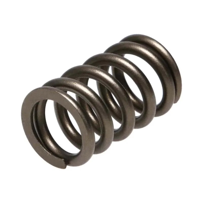 Manley Valve Spring, SPRING-NISSAN PATROL TB48 - Side View