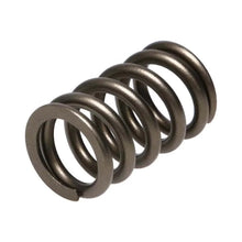 Load image into Gallery viewer, Manley Valve Spring, SPRING-NISSAN PATROL TB48 - Side View