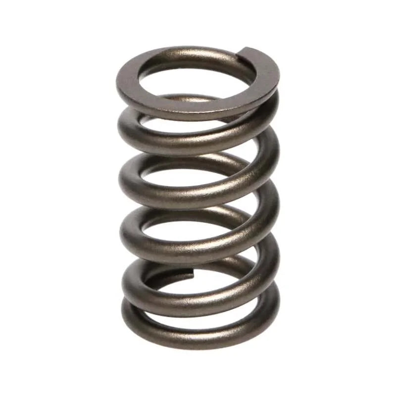 Manley Valve Spring, SPRING-NISSAN PATROL TB48 - Back View