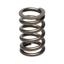 Load image into Gallery viewer, Manley Valve Spring, SPRING-NISSAN PATROL TB48 - Back View