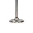Load image into Gallery viewer, Manley Volkswagen 1.2L Type I Intake Valve Kit - 42.00mm Head Dia. 4.405in O/A Length, 0.3130in Stem - Back View