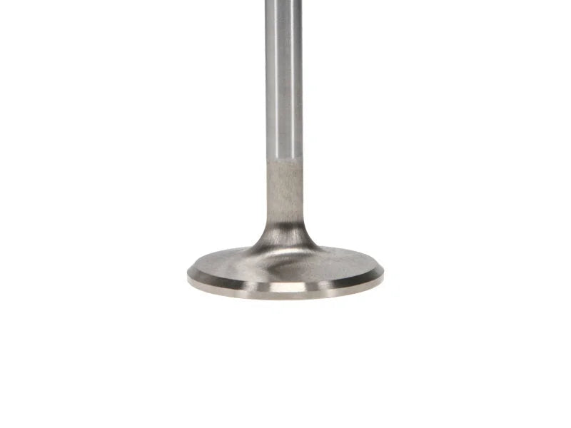 Manley Volkswagen 1.2L Type I Intake Valve Kit - 42.00mm Head Dia. 4.405in O/A Length, 0.3130in Stem - Back View