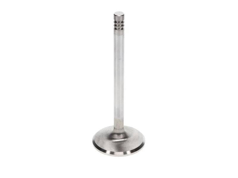 Manley Volkswagen 1.7L Type IV Exhaust Valve Kit - 40.00mm Head Dia. 4.606in O/A Length, 0.3130in - Back View