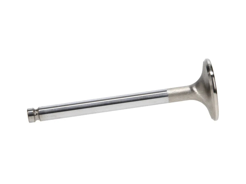 Manley Volkswagen Rabbit Exhaust Valve Kit - 34.00mm Head Dia. 3.976in O/A Length, 0.3130in Stem - Back View