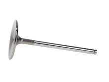 Load image into Gallery viewer, Manley up to 2010 Dodge Viper V-10 2.020 Dia Race Master Intake Valves (Set of 10) - Installation View