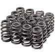 Load image into Gallery viewer, Melling Valve Spring Set 1.307 Dia. Dual Spring 461219-16