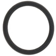 Load image into Gallery viewer, Mercedes-Benz O-Ring A0169979945