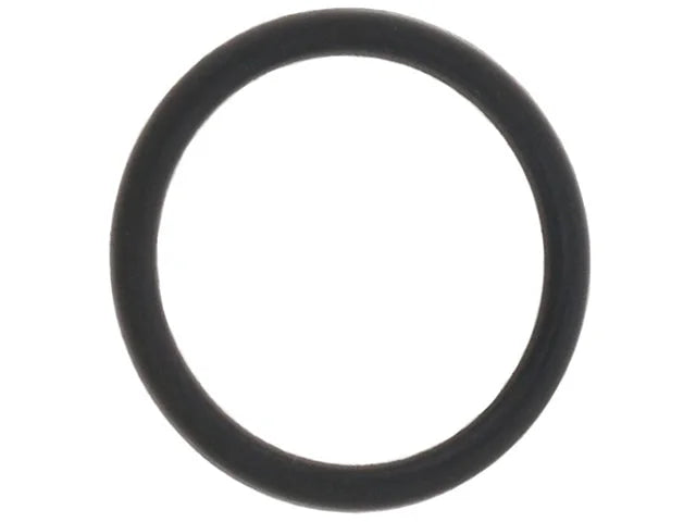 Mercedes-Benz O-Ring A0169979945