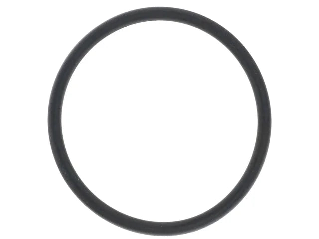 Mercedes-Benz Thermostat O-Ring A0009976109