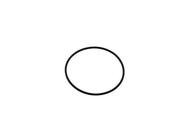 Mercedes-Benz Transmission O-Ring A0169973148