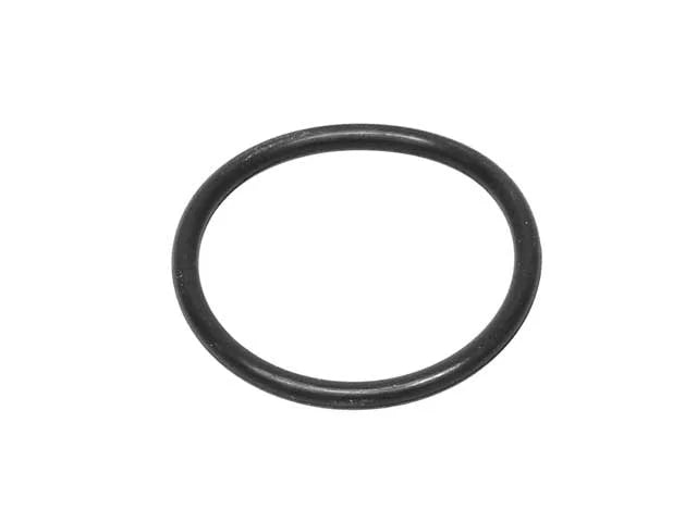 Mercedes-Benz Transmission O-Ring A0169973648