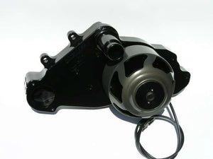 Meziere SBC LS1 Billet Electric W/P - Black WP319S