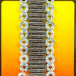 Load image into Gallery viewer, Milodon Oil Pan Stud Kit 81320