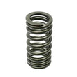 Load image into Gallery viewer, Mini Valve Spring 11-34-1-485-590