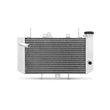 Load image into Gallery viewer, Mishimoto 09-13 Yamaha YFZ450R Aluminum Radiator - Side View