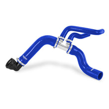 Load image into Gallery viewer, Mishimoto 15-17 Ford F-150 5.0L V8 Radiator Hose Kit - Blue - Back View