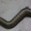 Load image into Gallery viewer, Mishimoto 2 inch x 35 feet Heat Wrap with Stainless Locking Tie Set - Additional View 11