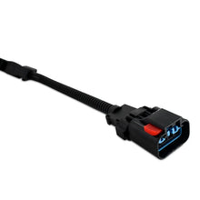 Load image into Gallery viewer, Mishimoto 2003-2004 Ford 6.0L Powerstroke Glow Plug Harness - Side View