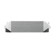 Load image into Gallery viewer, Mishimoto 2016+ Ford Focus RS Performance Intercooler Kit - Silver - Back View