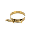 Load image into Gallery viewer, Mishimoto 3.75 Inch Stainless Steel Constant Tension T-Bolt Clamp - Gold - Main Product View