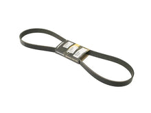Load image into Gallery viewer, Mitsuboshi Belt 7PK X 1270 7PK1270 - Side View