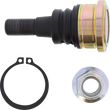Load image into Gallery viewer, Moose Offroad Ball Joint - Lower 42-1066 - Back View