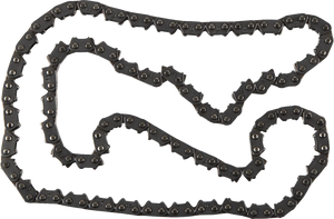 Moose Offroad Cam Chain - 98XRH2010 x 126 Links MSEHC98XRH2010126 - Main Product View