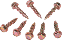 Load image into Gallery viewer, Moose Offroad Clutch Cover Screw 100-4579-PU fits Polaris - Main Product View