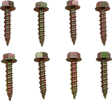 Load image into Gallery viewer, Moose Offroad Clutch Cover Screw 100-4579-PU fits Polaris - Side View