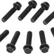 Load image into Gallery viewer, Moose Offroad Clutch Cover Screw 100-5278-PU fits Polaris - Detail View