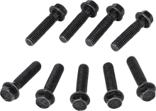Load image into Gallery viewer, Moose Offroad Clutch Cover Screw - Polaris 100-3169-PU - Detail View