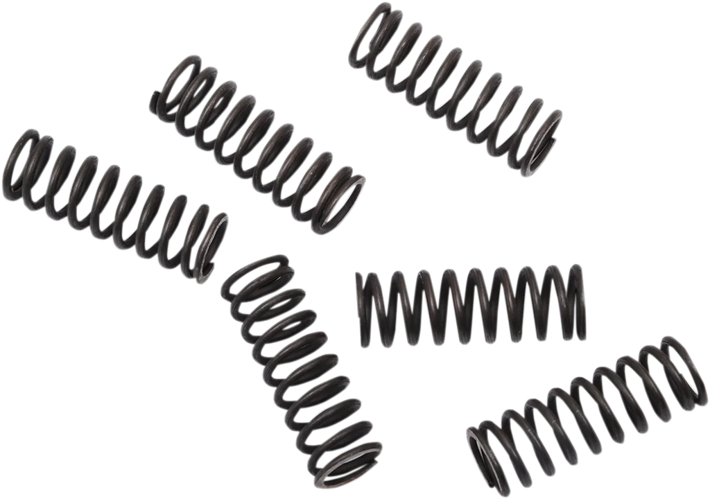 Moose Offroad Clutch Springs - CRF 450 FHDS155-6 - Main Product View
