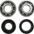 Load image into Gallery viewer, Moose Offroad Crank Bearings and Seals 24-1061 fits Yamaha - Main Product View