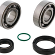 Load image into Gallery viewer, Moose Offroad Crank Bearings and Seals - 24-1131 fits Gas Gas / Husqvarna / Ktm - Main Product View