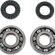 Load image into Gallery viewer, Moose Offroad Crank Bearings and Seals - 24-1131 fits Gas Gas / Husqvarna / Ktm - Detail View