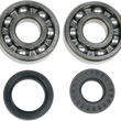 Load image into Gallery viewer, Moose Offroad Crankcase Bearing and Seal Kit 24-1025 fits Yamaha - Main Product View