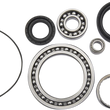 Load image into Gallery viewer, Moose Offroad Differential Bearing/Seal Kit - Rear 25-2045 fits Yamaha / CF Moto - Main Product View