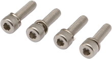Load image into Gallery viewer, Moose Offroad Float Bowl Screw Set - 12mm 03-S42 - Main Product View