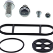 Load image into Gallery viewer, Moose Offroad Fuel Petcock Rebuild Kit - Kawasaki 60-1079 - Main Product View
