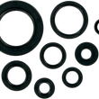 Load image into Gallery viewer, Moose Offroad Motor Oil Seals - 0.010" Metal Head Gasket 822110mse fits Honda - Main Product View