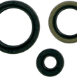 Load image into Gallery viewer, Moose Offroad Motor Oil Seals 822143mse fits Polaris - Main Product View