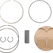 Load image into Gallery viewer, Moose Offroad Piston Kit - 96.00 mm - Honda MPX2180 - Main Product View