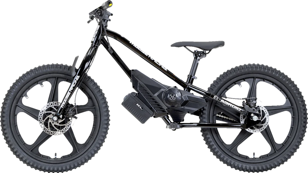 Moose Offroad RS-20 E-Bike - Agroid - Balance X02-A0101S - Back View